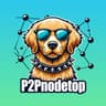 P2Pnodetop